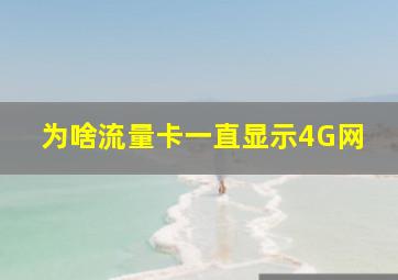 为啥流量卡一直显示4G网