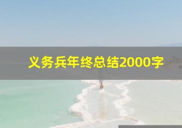 义务兵年终总结2000字