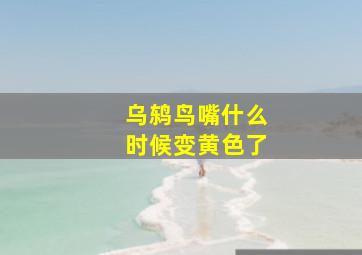 乌鸫鸟嘴什么时候变黄色了