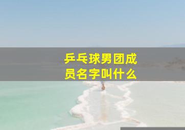 乒乓球男团成员名字叫什么