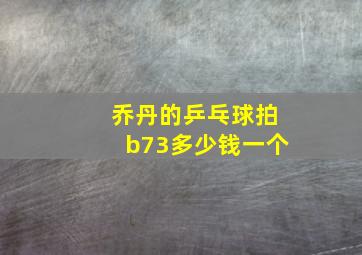 乔丹的乒乓球拍b73多少钱一个