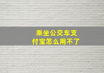 乘坐公交车支付宝怎么用不了