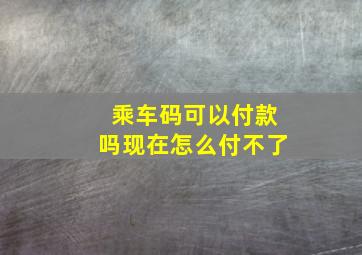 乘车码可以付款吗现在怎么付不了