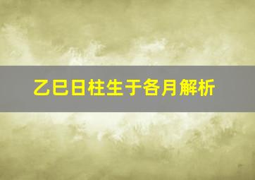 乙巳日柱生于各月解析