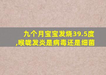 九个月宝宝发烧39.5度,喉咙发炎是病毒还是细菌