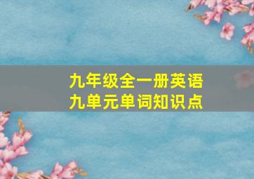 九年级全一册英语九单元单词知识点