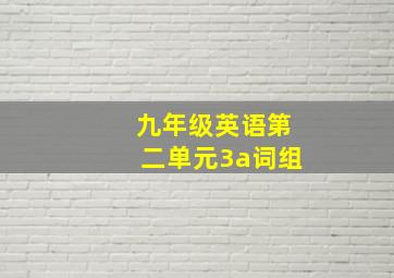 九年级英语第二单元3a词组