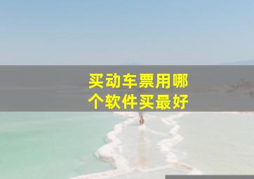 买动车票用哪个软件买最好