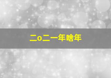 二o二一年啥年