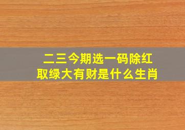 二三今期选一码除红取绿大有财是什么生肖