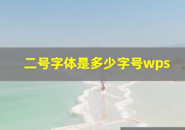 二号字体是多少字号wps