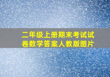 二年级上册期末考试试卷数学答案人教版图片