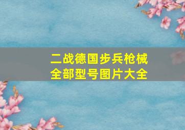 二战德国步兵枪械全部型号图片大全