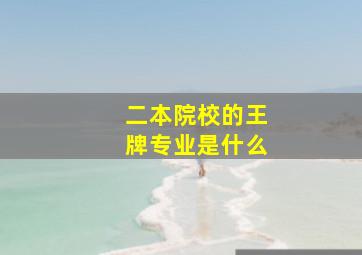 二本院校的王牌专业是什么