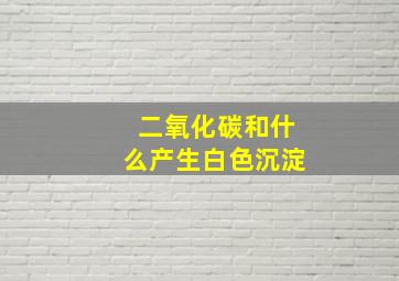 二氧化碳和什么产生白色沉淀