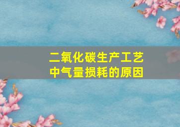 二氧化碳生产工艺中气量损耗的原因