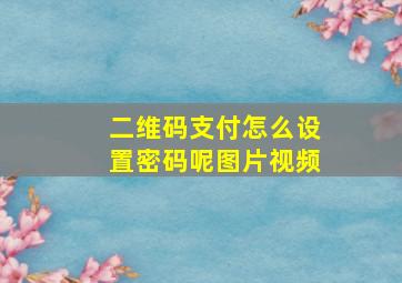 二维码支付怎么设置密码呢图片视频