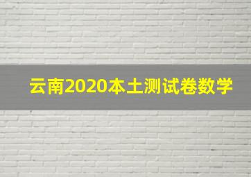 云南2020本土测试卷数学