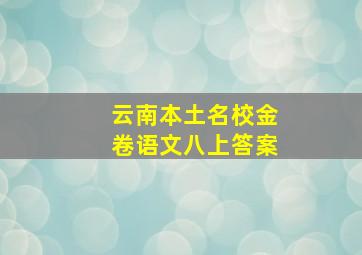 云南本土名校金卷语文八上答案