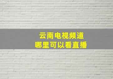 云南电视频道哪里可以看直播