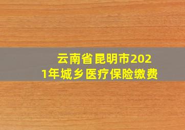 云南省昆明市2021年城乡医疗保险缴费