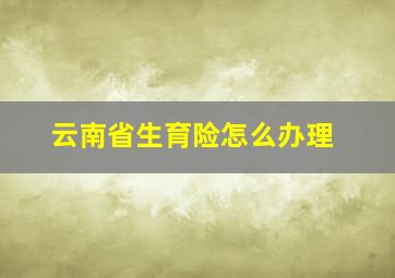 云南省生育险怎么办理