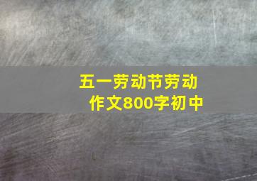 五一劳动节劳动作文800字初中