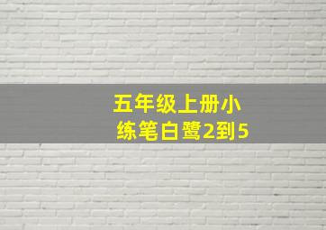 五年级上册小练笔白鹭2到5