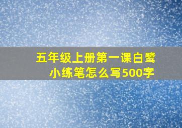 五年级上册第一课白鹭小练笔怎么写500字