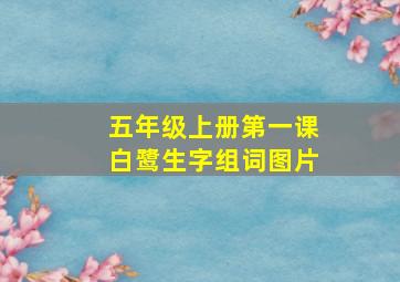 五年级上册第一课白鹭生字组词图片