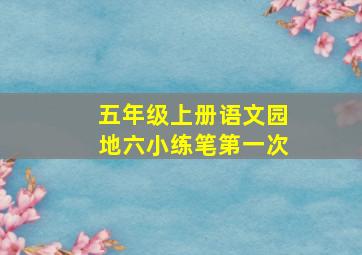 五年级上册语文园地六小练笔第一次