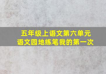 五年级上语文第六单元语文园地练笔我的第一次