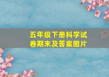 五年级下册科学试卷期末及答案图片