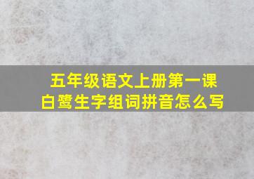 五年级语文上册第一课白鹭生字组词拼音怎么写