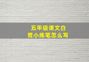 五年级课文白鹭小练笔怎么写