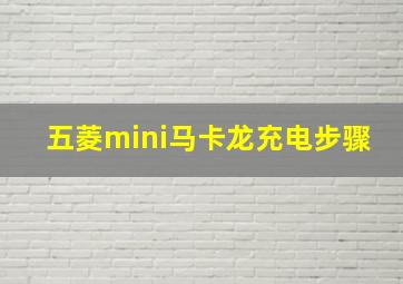 五菱mini马卡龙充电步骤