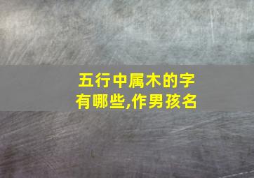 五行中属木的字有哪些,作男孩名