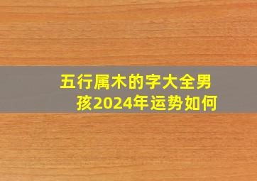 五行属木的字大全男孩2024年运势如何