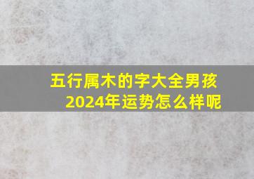 五行属木的字大全男孩2024年运势怎么样呢