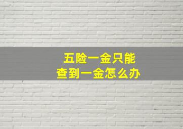 五险一金只能查到一金怎么办