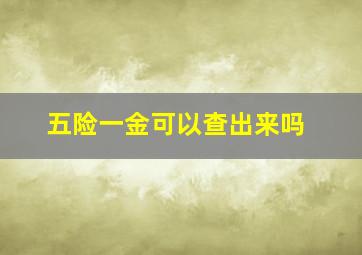 五险一金可以查出来吗