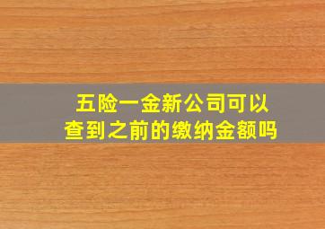 五险一金新公司可以查到之前的缴纳金额吗