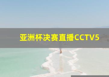 亚洲杯决赛直播CCTV5