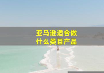 亚马逊适合做什么类目产品