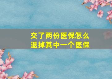 交了两份医保怎么退掉其中一个医保