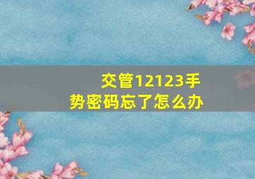 交管12123手势密码忘了怎么办