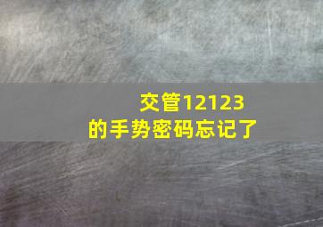 交管12123的手势密码忘记了