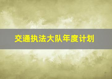 交通执法大队年度计划