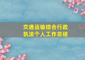 交通运输综合行政执法个人工作总结