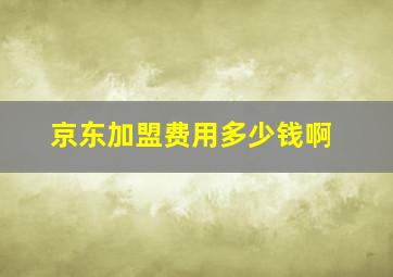 京东加盟费用多少钱啊